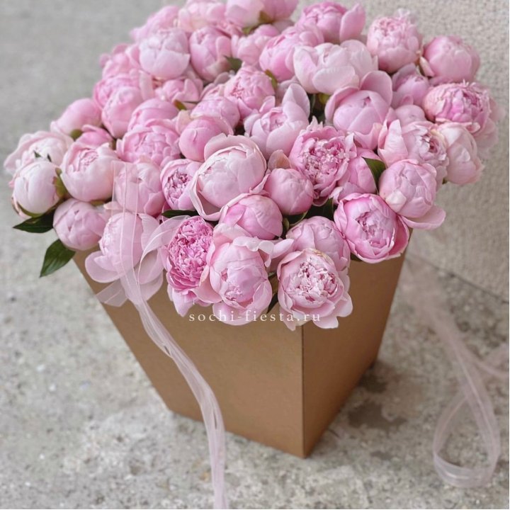 49 пионов в крафт коробке в Энгельсе