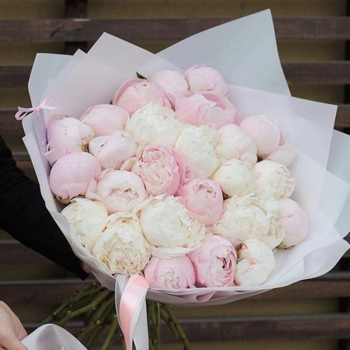 29 пионов в Энгельсе