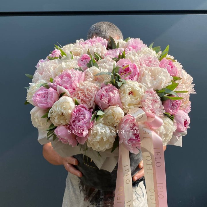 51 пионов в боксе в Энгельсе