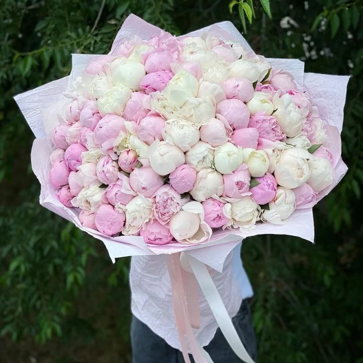 101 пион в Энгельсе