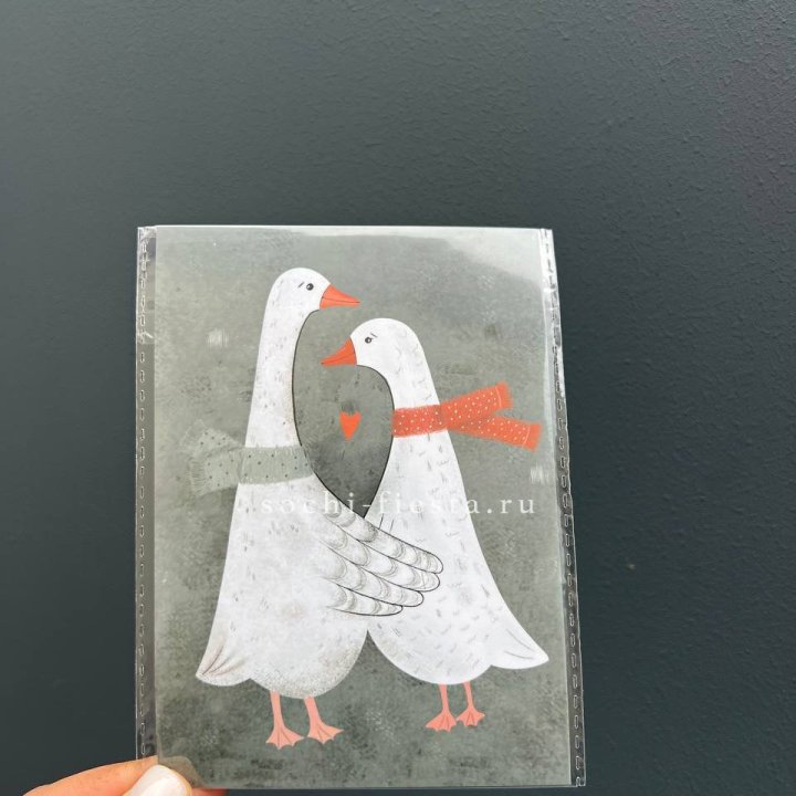 Открытка к букету "Гуси” в Энгельсе