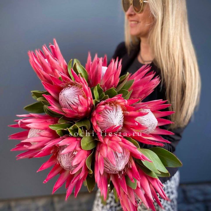 Протея штучно в Энгельсе