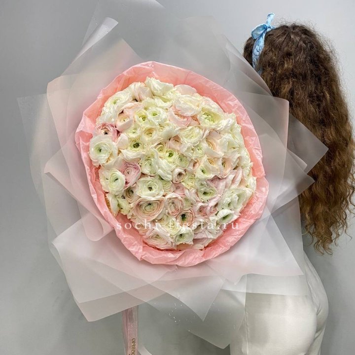 113 ранункулюсов  в Энгельсе