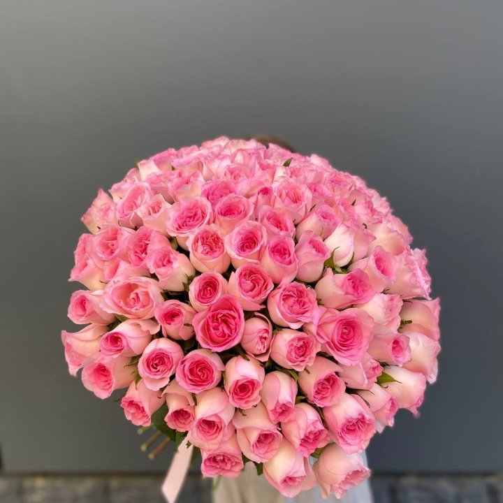 101 розовая роза в Энгельсе