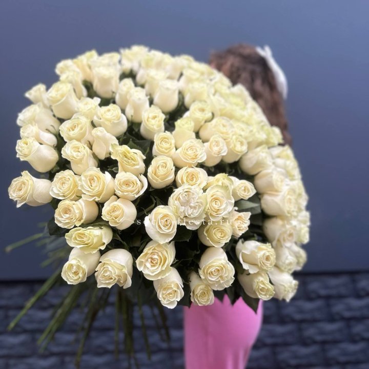 101 белая высокая импортная роза под ленту в Энгельсе