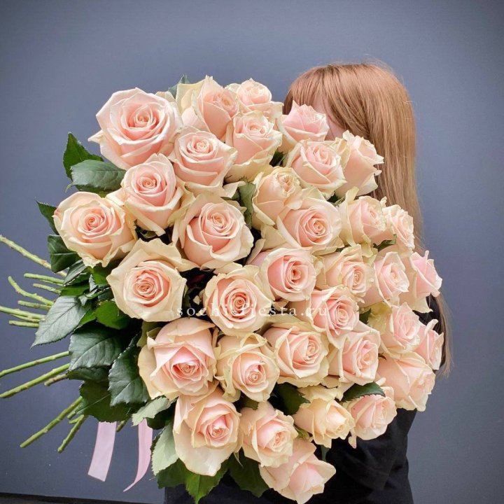 35 кремовых высоких роз в Энгельсе