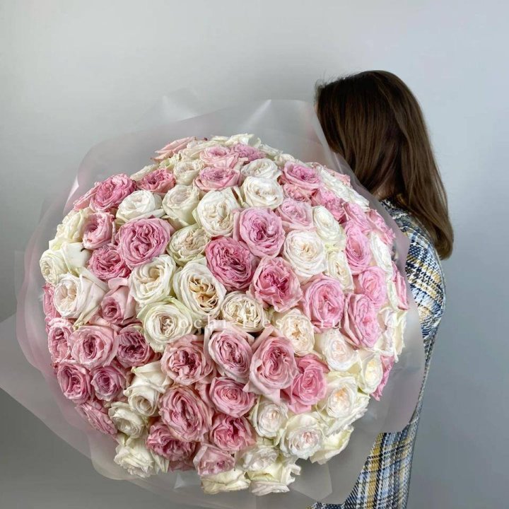 101 роз Охара в Энгельсе