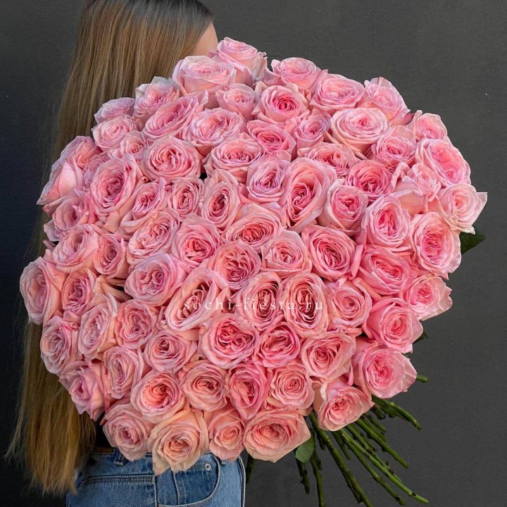 75 роз Охара в Энгельсе