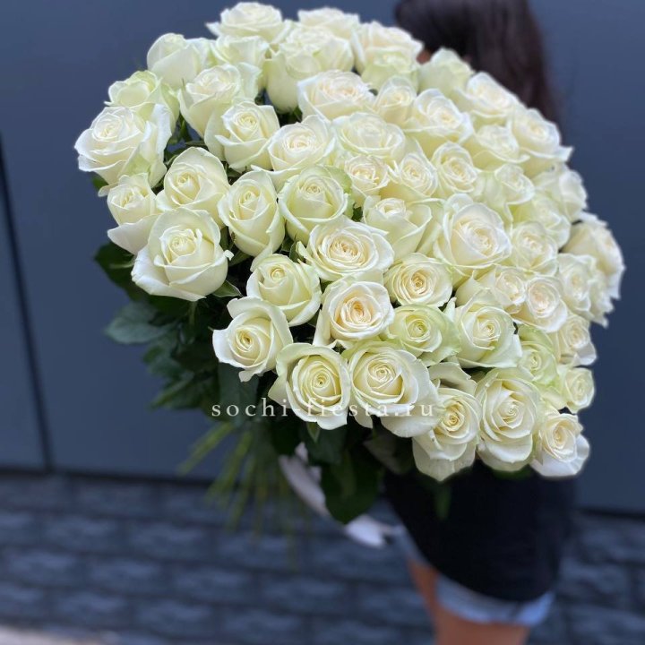 51 белоснежная высокая роза в Энгельсе