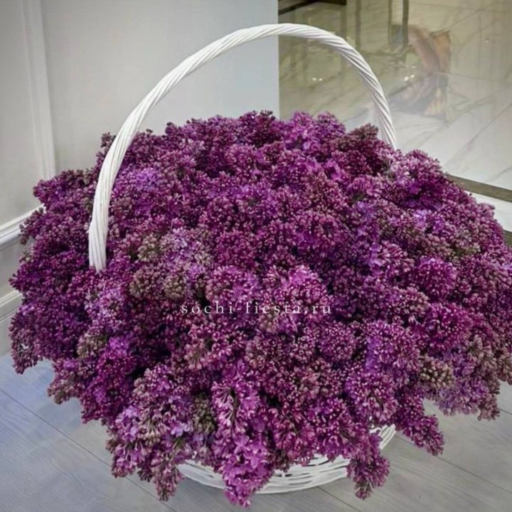 Корзина сирени в Энгельсе