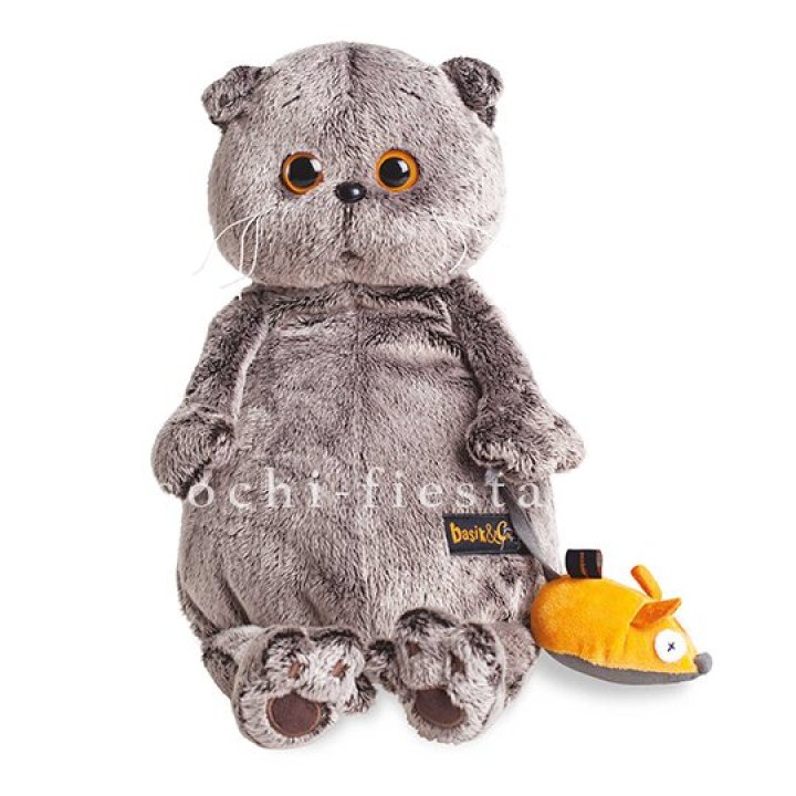 Кот Басик с мышкой в Энгельсе