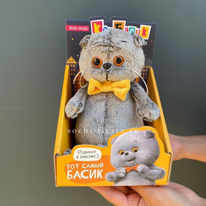 Кот Басик с бабочкой в Энгельсе