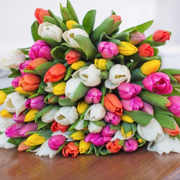 79 тюльпанов "Рандом" в Энгельсе