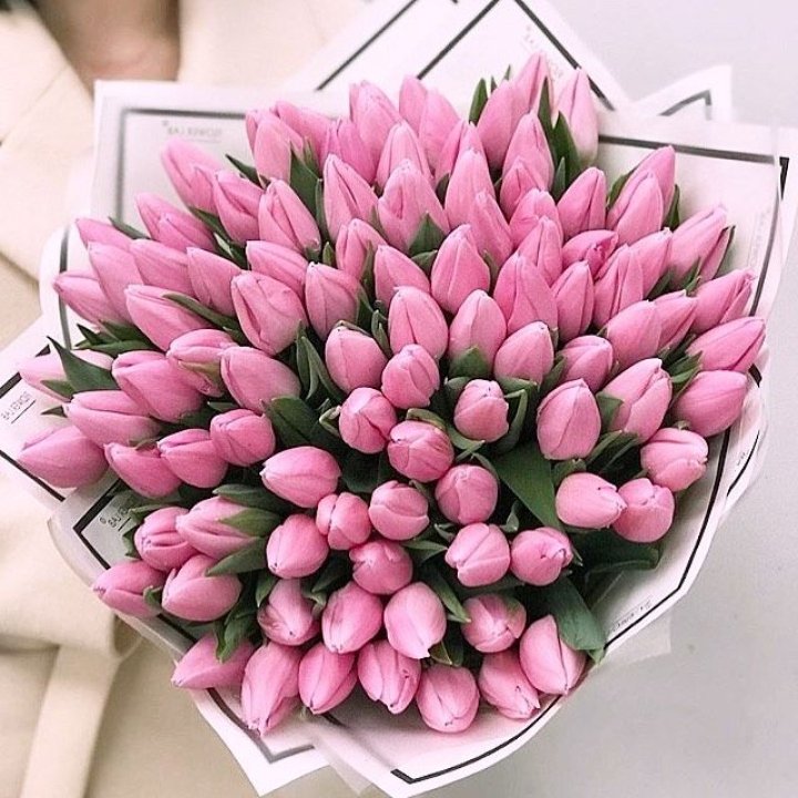 101 розовый тюльпан в белом в Энгельсе