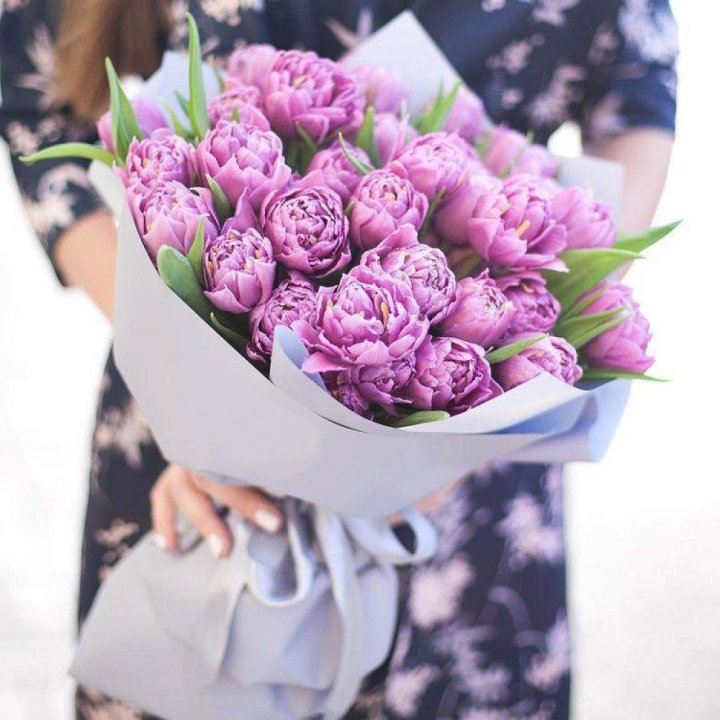 Тюльпаны "Пионс" в Энгельсе