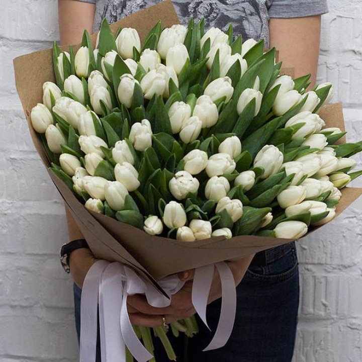 101 тюльпан сноу в Энгельсе