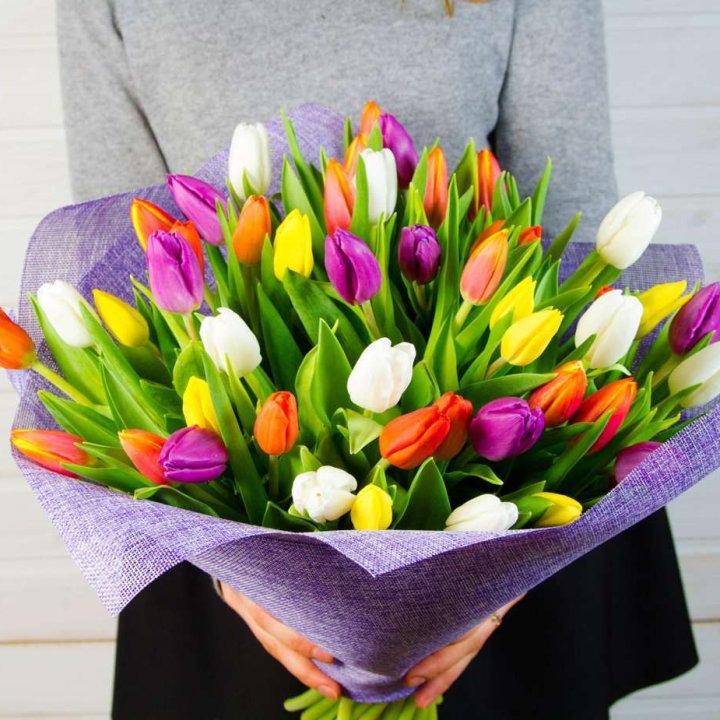 51 тюльпан "Рандом" №2 в Энгельсе