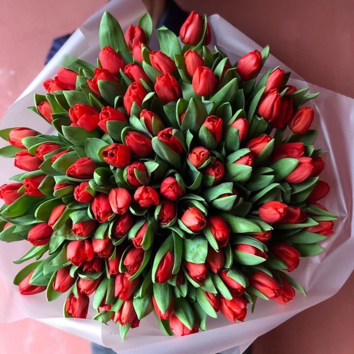 101 красный тюльпан в Энгельсе