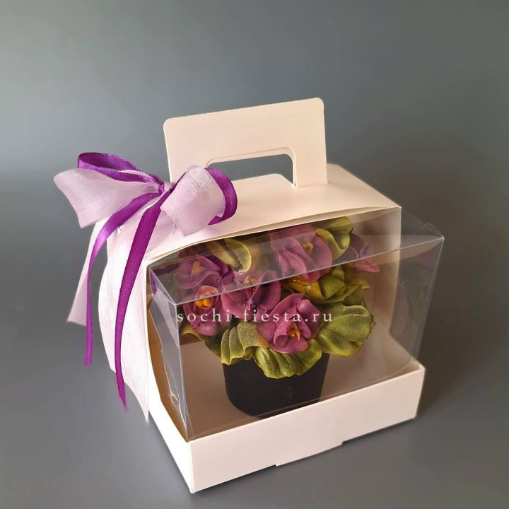  Зефир "Фиалка" в Энгельсе